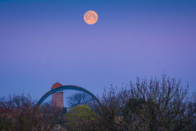 Vollmond über dem Bergzoo