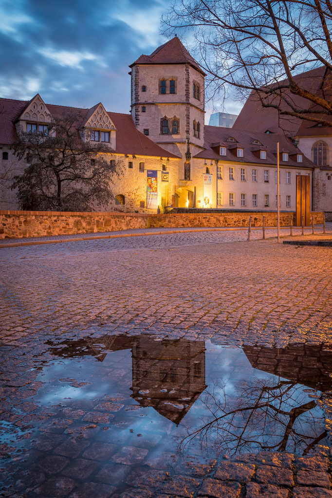 Die Moritzburg spiegelt sich auf einer Pfütze