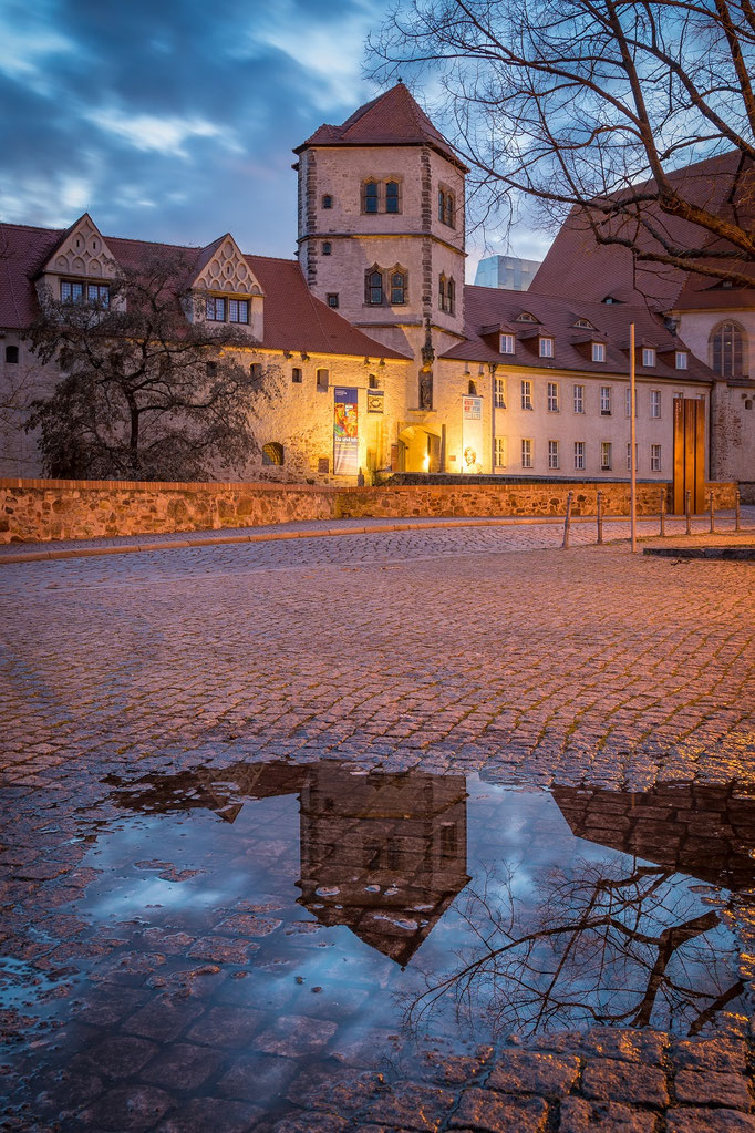 Die Moritzburg spiegelt sich auf einer Pfütze