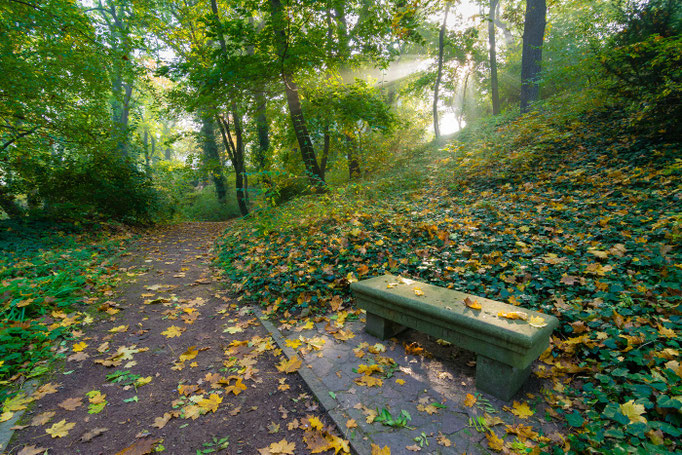 Herbst an der Unterburg Giebichenstein