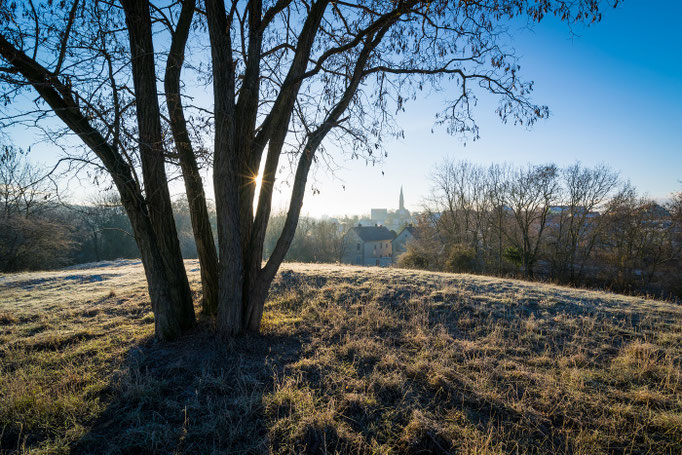 Blick vom Ochsenberg auf Petruskirche in Kröllwitz