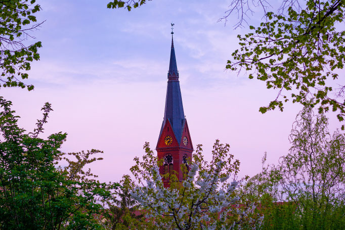 Johanneskirche im Lutherviertel mit Bäumen im Frühling