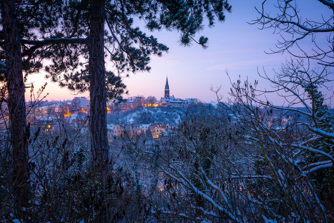 Blick nach Kröllwitz im Winter