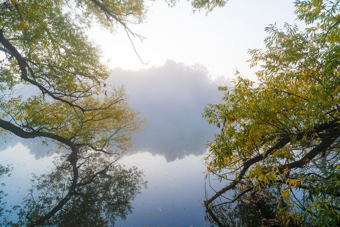 Sonnenaufgang mit Nebel am Kanal