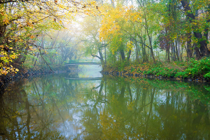 Wilde Saale am Gimritzer Park