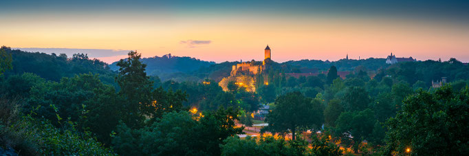Panorama mit Burg Giebichenstein an einem Morgen im Sommer