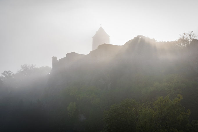 Burg Giebichenstein im Nebel