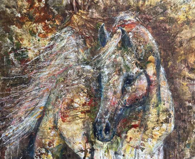 Stallion 95x120cm