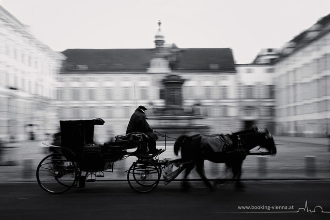 Eine Fiaker Tour in Wien, booking Vienna, günstige Hotels in Wien, Hotel Vienna buchen