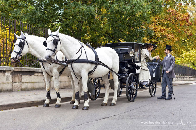 Pferde Tradition, booking Vienna, günstige Hotels Wien, Hotel Wien im Zentrum buchen