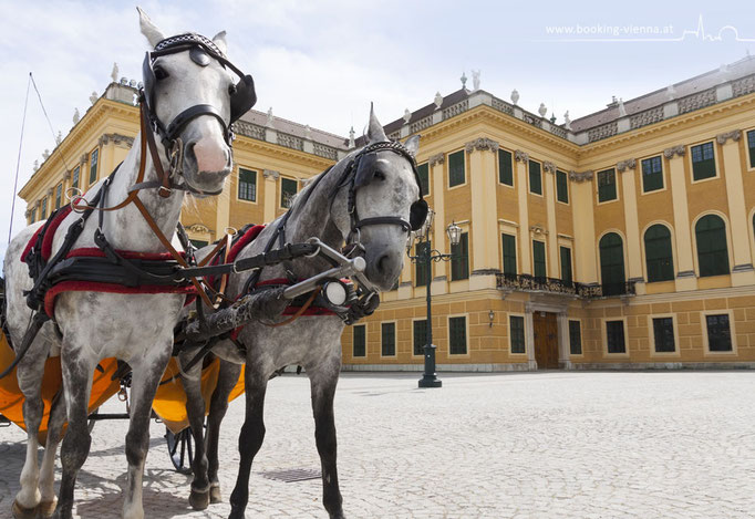 Touristen in Wien, booking Vienna, günstige Hotels Wien, Hotel Wien im Zentrum buchen