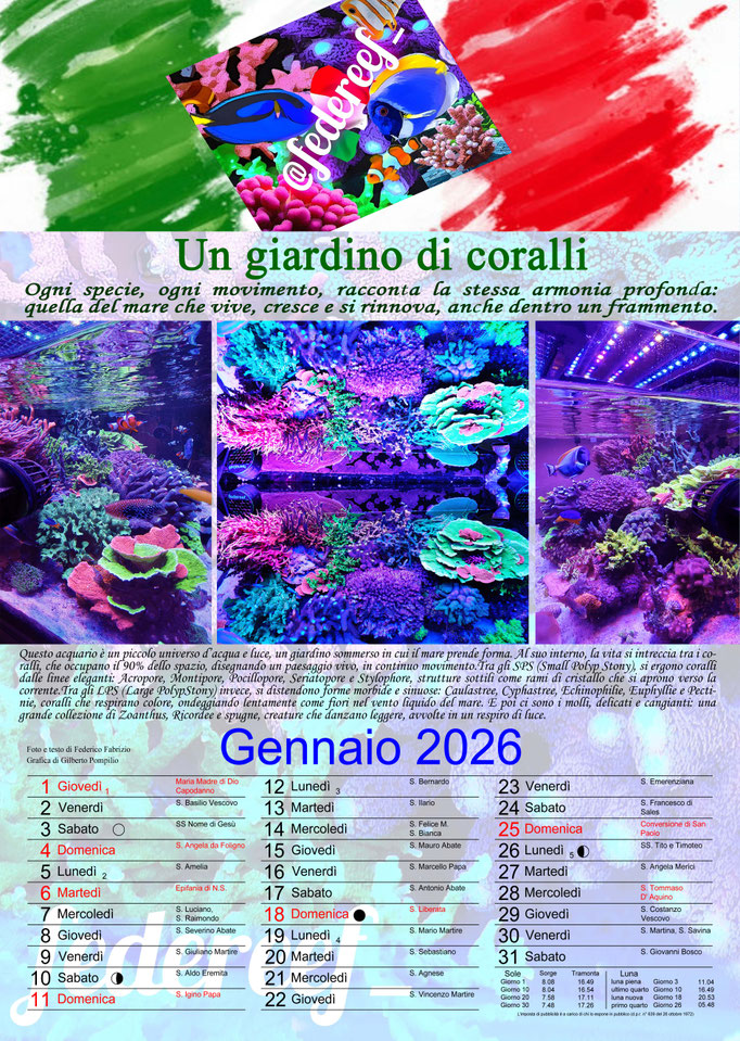 Federeef_Gennaio 2026