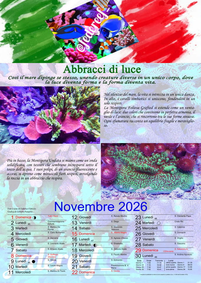 Federeef_Novembre 2026