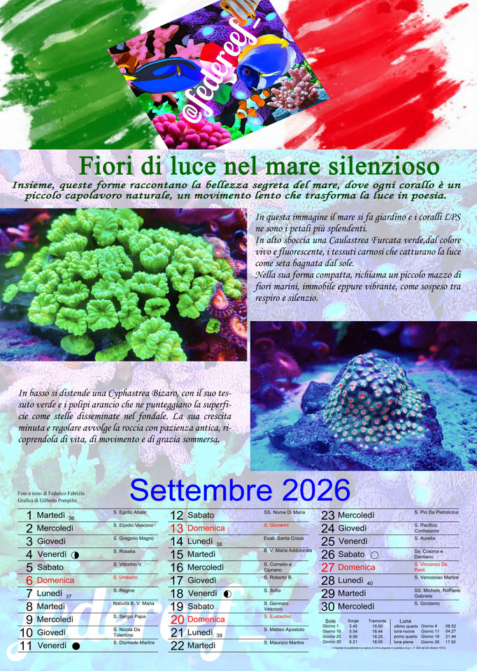 Federeef_Settembre 2026