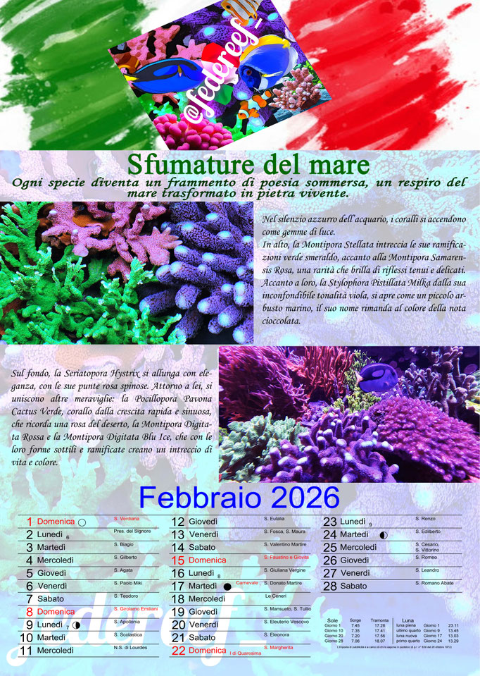 Federeef_Febbraio 2026