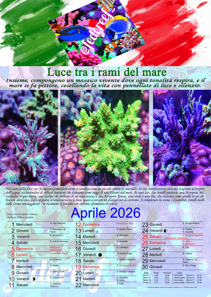 Federeef_Aprile 2026