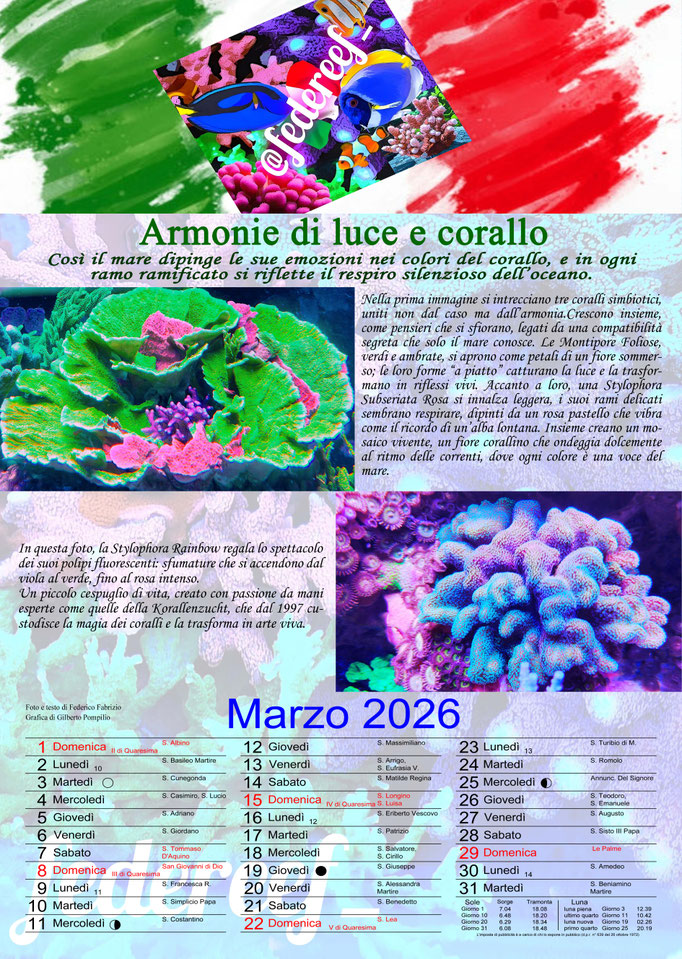 Federeef_Marzo 2026