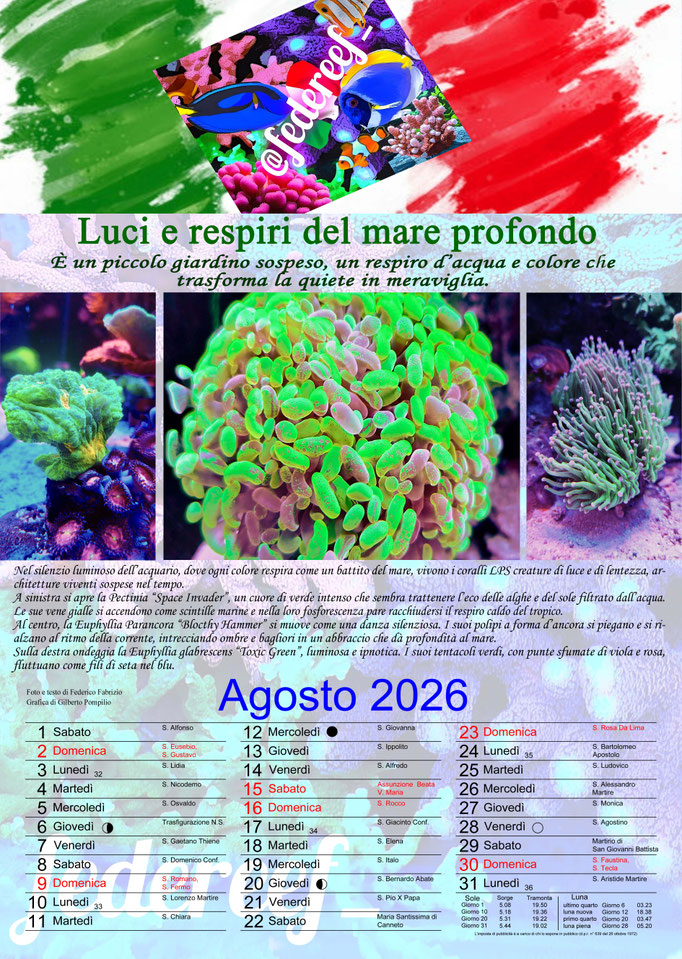 Federeef_Agosto 2026
