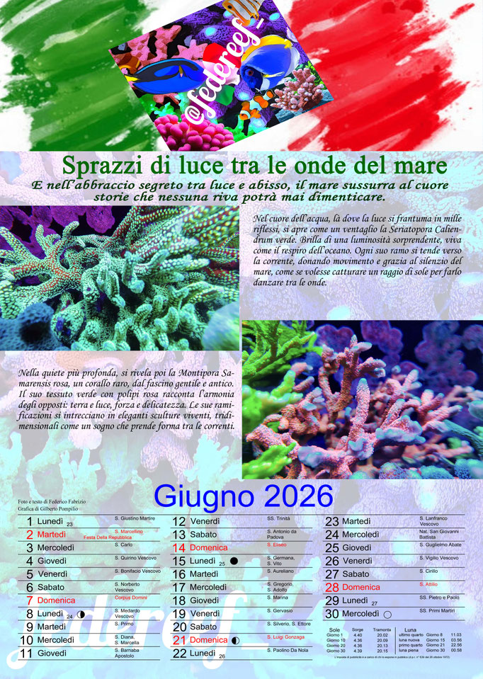 Federeef_Giugno 2026