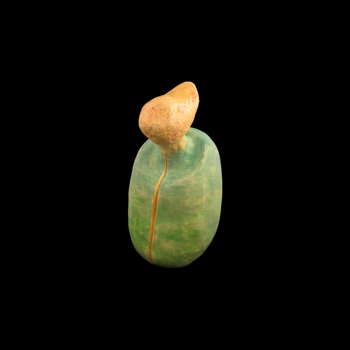 Euphorbia terracina