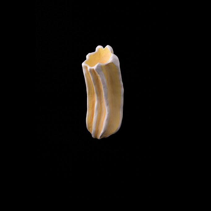 Matricaria chamomilla