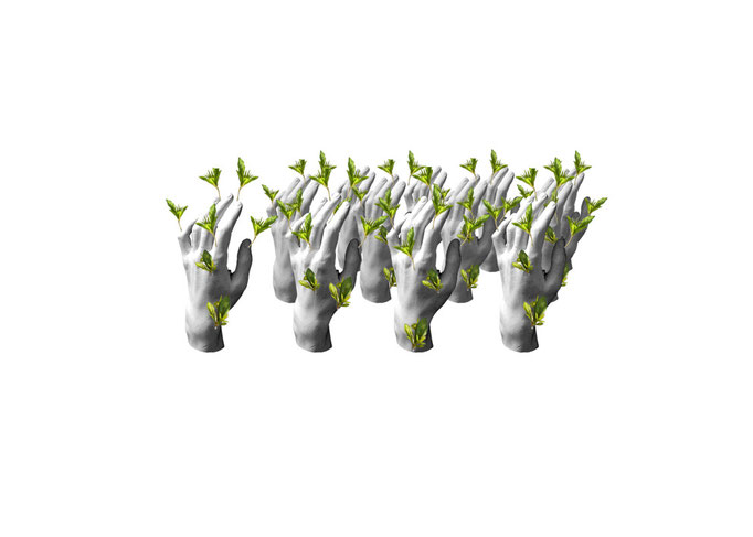 Manus Plantus (main-plante) Aline Siffert