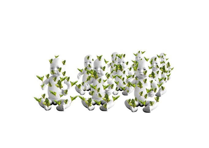 Bebae Plantus (bebe-plante) Aline Siffert