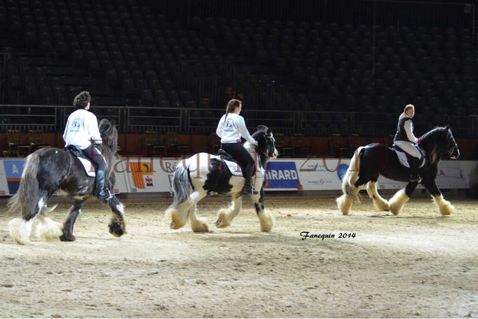 IRISH COB Monté 11