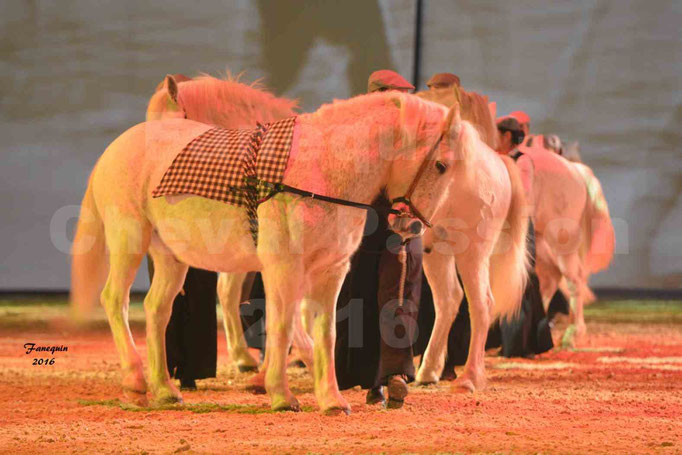 Cheval Passion 2016 - Gala des Crinières d'OR - Écurie de FAUSTINE 