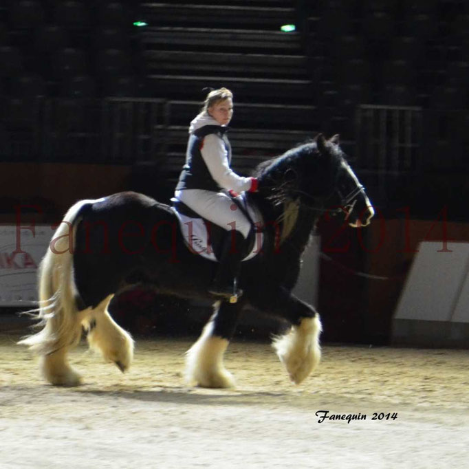 IRISH COB Monté 13