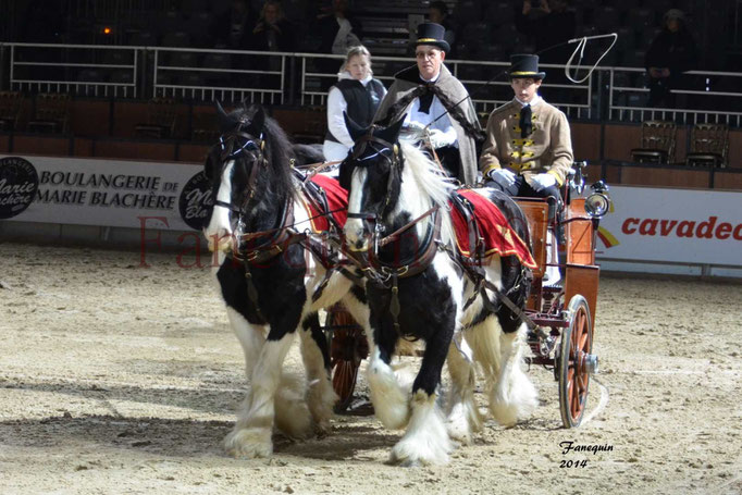 Attelage en paire IRISH COB 1