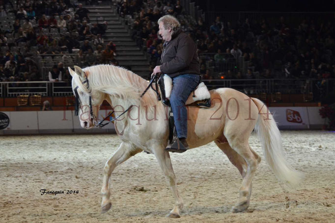 Chevaux de race CREME 26