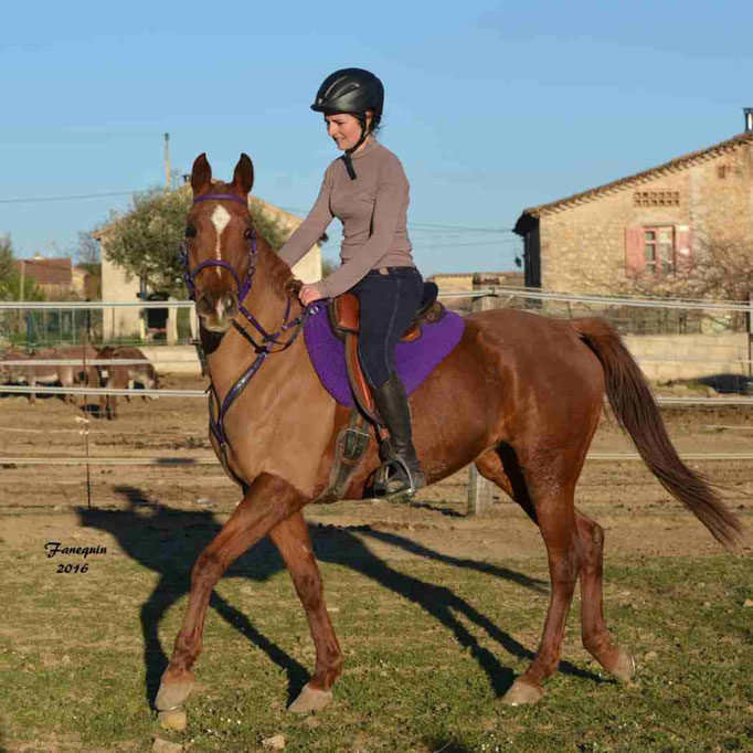 Elevage el MAGLEP - TEIJDA EL HAM