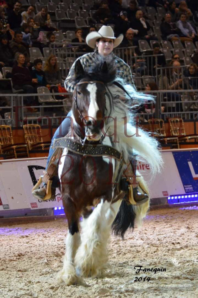 IRISH COB Monté 02