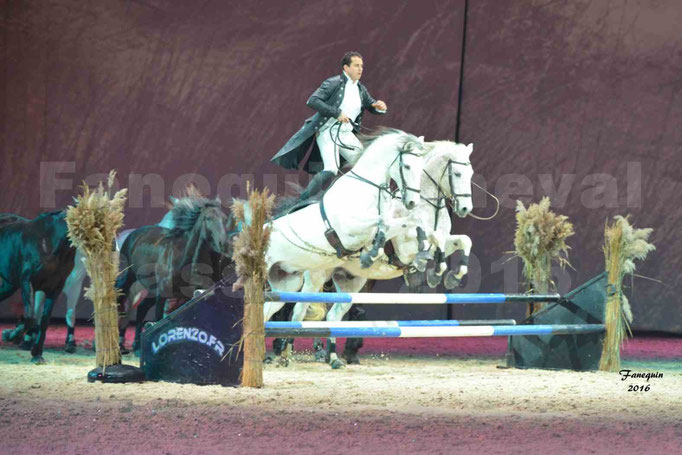 Cheval Passion 2016 - Gala des Crinières d'OR - LORENZO 1