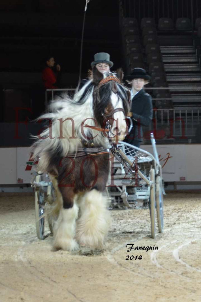 attelage simple IRISH COB 01