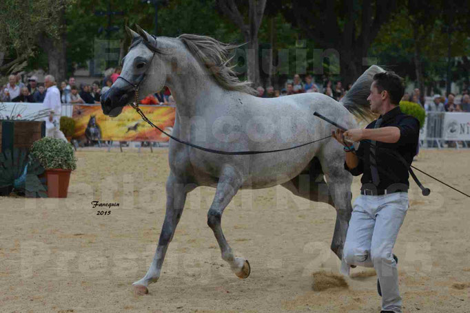 RUSCANA DE FONTANEL - en 2015 - 06