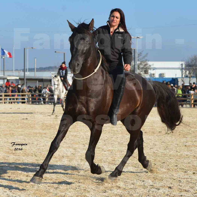 Cheval Passion 2016 - Cavalières
