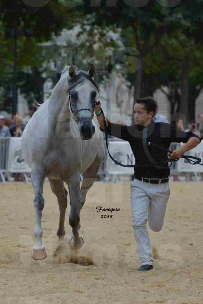 RUSCANA DE FONTANEL - en 2015 - 03