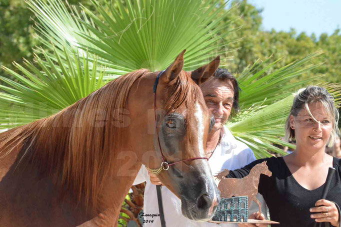 Concours national de Nîmes - MYSS SASKIA - Portraits - 07