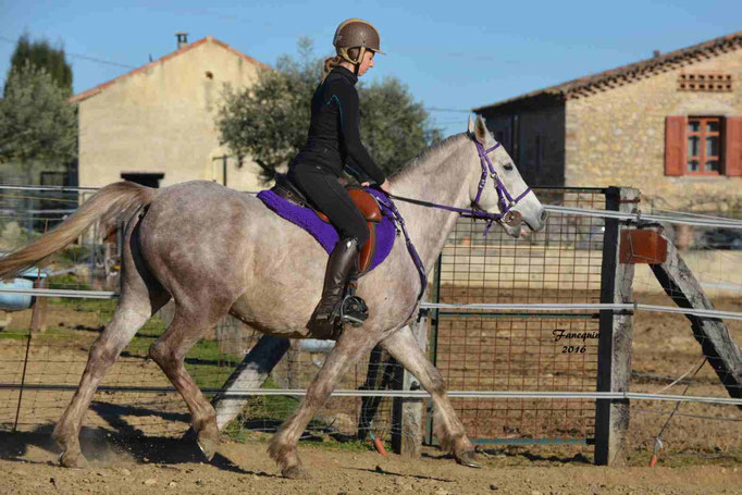 Elevage EL MAGLEP - BRAHIM DU CAUSSE - Monté - 10