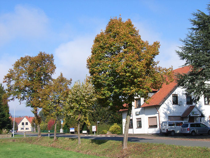 Im Büttendorfer Ortskern