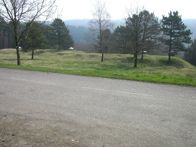 Blick von der Straße aus - im Hintergrund die Weinbergschlucht