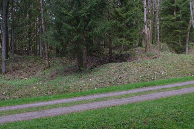 Wo damals die Häuser standen ist heute Wald