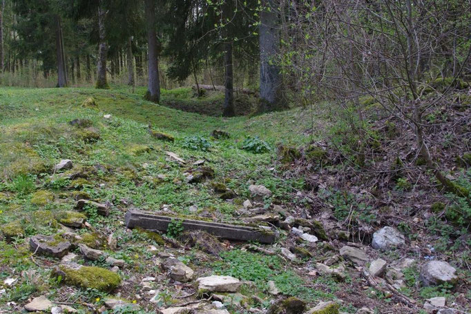 Trümmer und Wald...