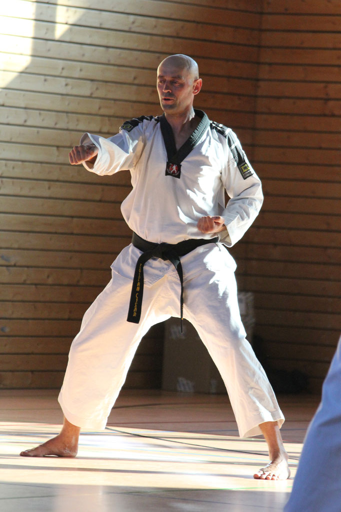 Taekwon-Do / Allkampf Trainer Zoltan Cisar