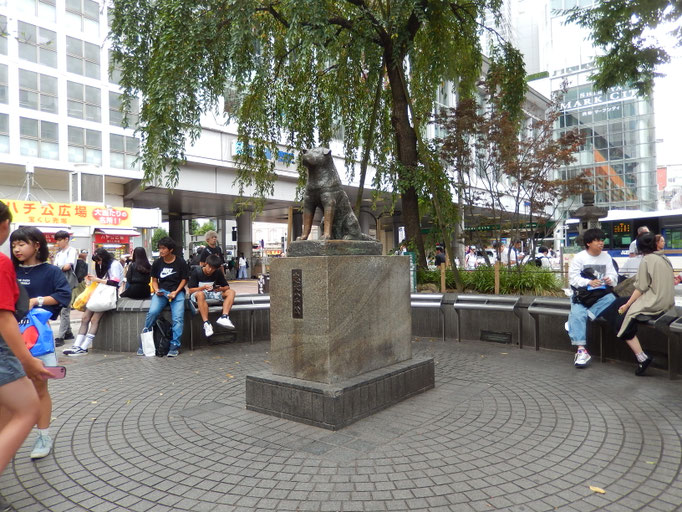Hachiko