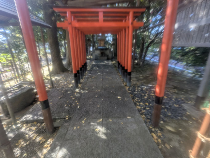 鳥居白アリ被害補修工事の工事写真