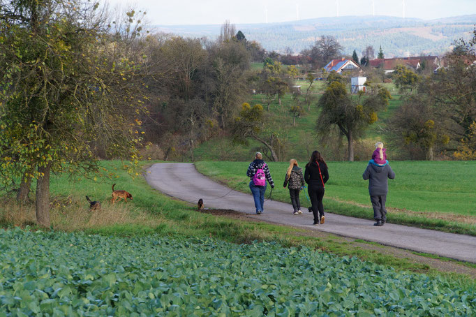 Gassi-Treff Merzig