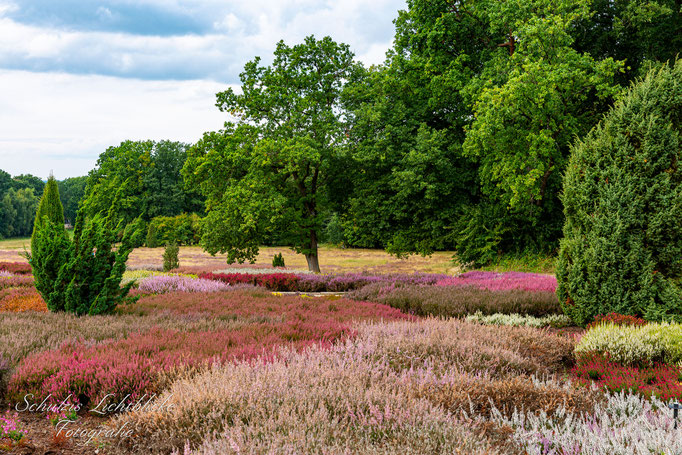 Heidegarten